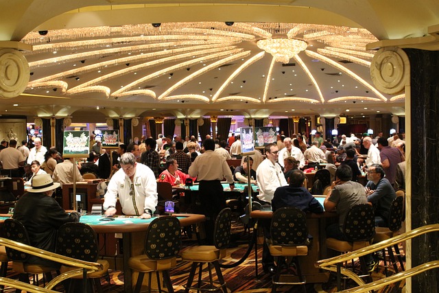 Casino Audits
