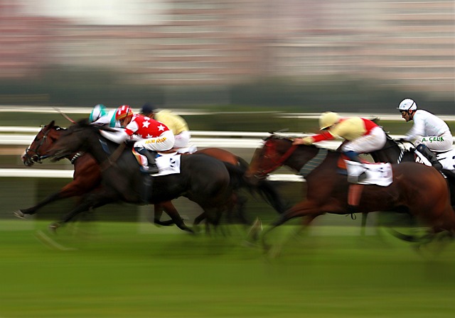 Models in Sports Betting