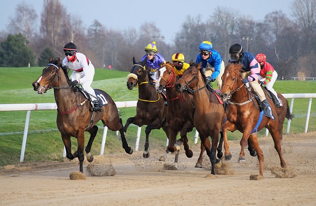 Models in Sports Betting